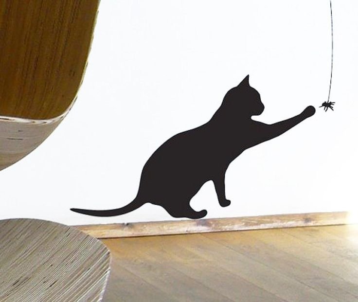 Коты на стене