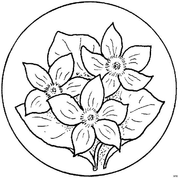 Цветы трафарет для рисования