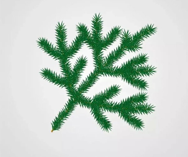 Еловая ветка вектор