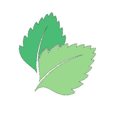 Лист мяты контур