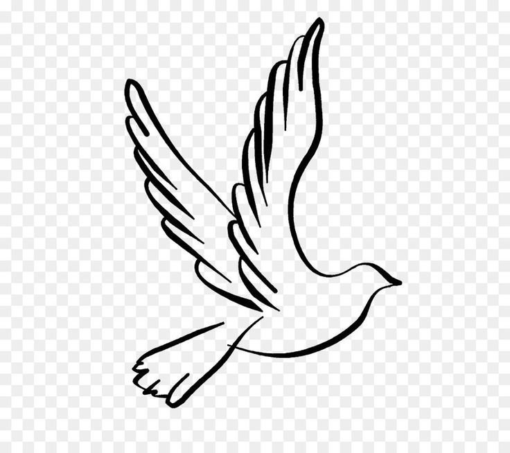 Голубь символ