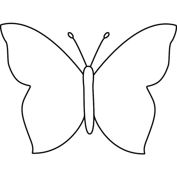 Бабочка шаблон для рисования