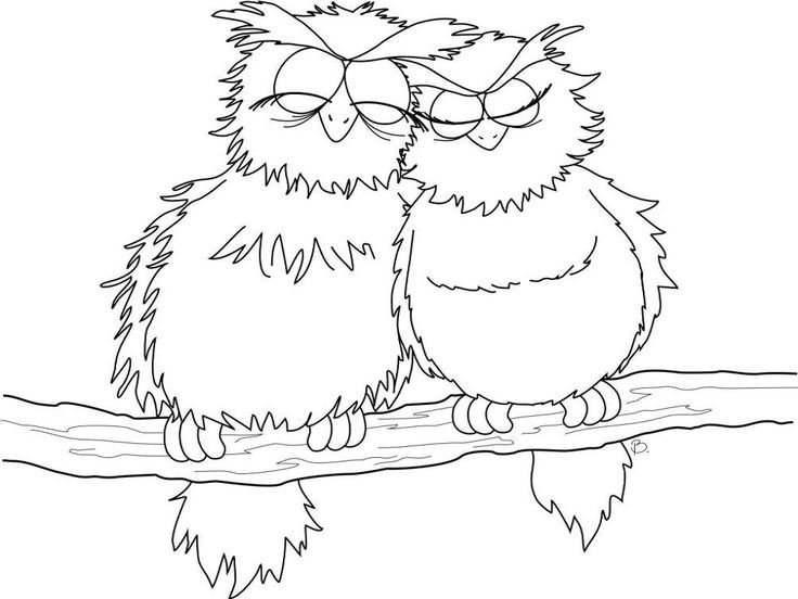 Сова на ветке раскраска