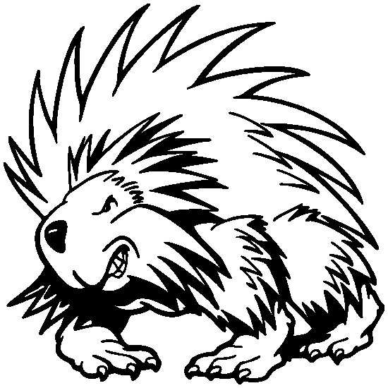 Дикобраз раскраска для детей