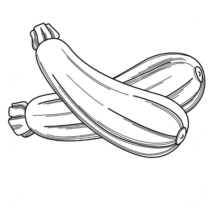 Кабачок раскраска