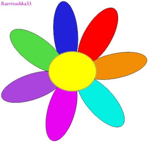 Цветок с разноцветными лепестками