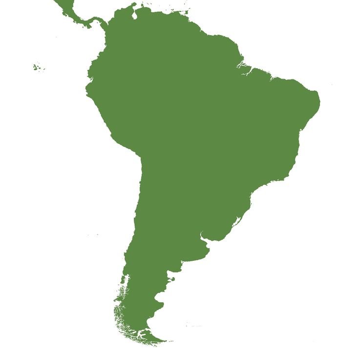 Южная Америка материк