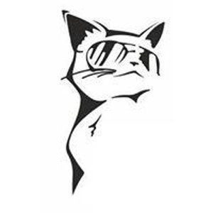 Крутые котики