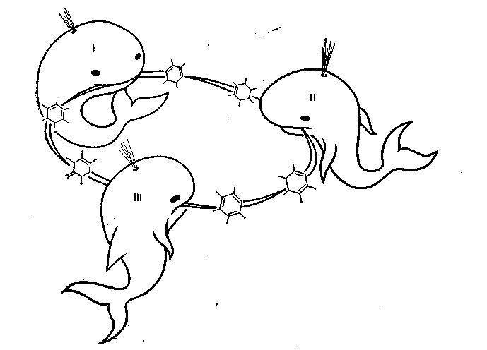 Три кита раскраска