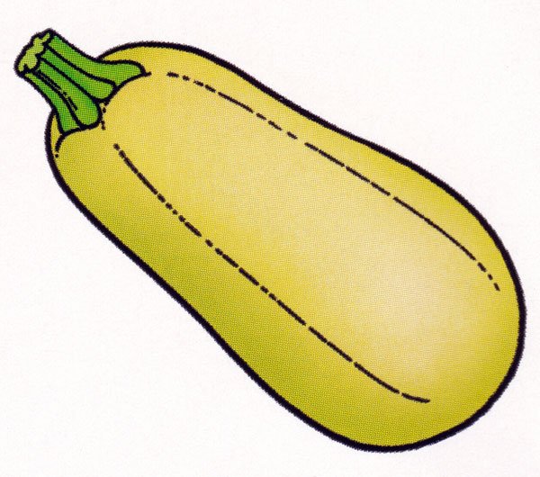 Кабачок для детей