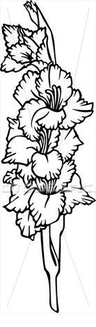 Раскраски цветы гладиолусы