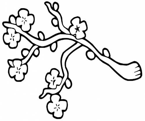 Ветка Сакуры раскраска для детей