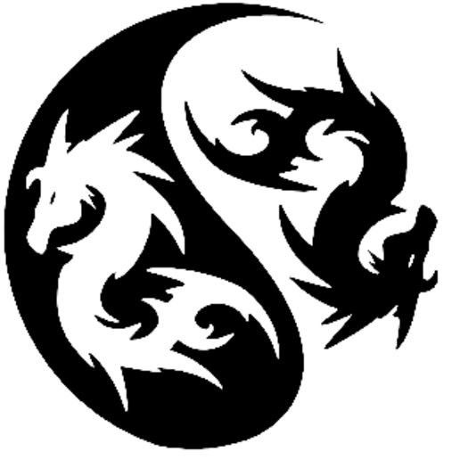 Инь Янь на китайском