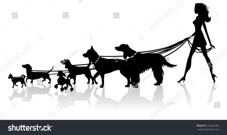 Силуэт собака на поводке