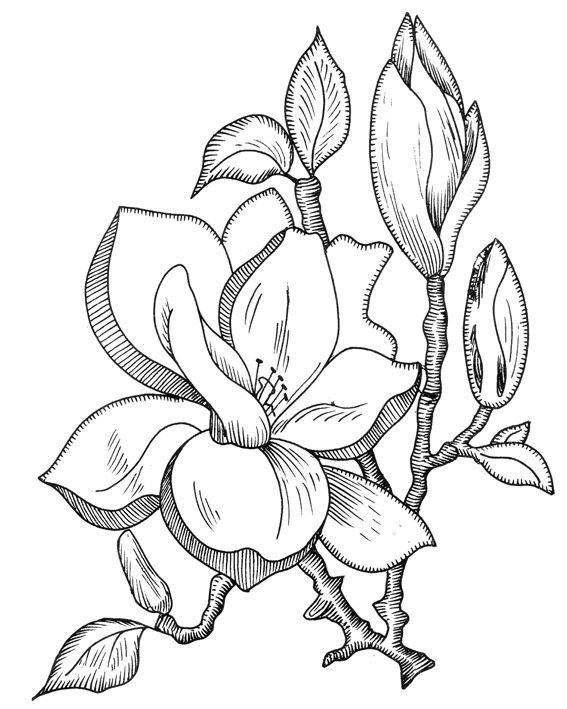 Эскиз цветов для вышивки