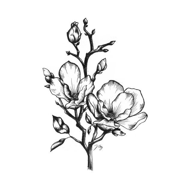 Магнолия трафарет