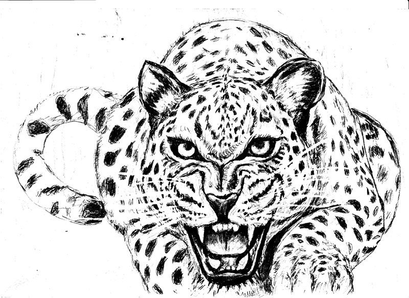 Раскраска. Ягуар