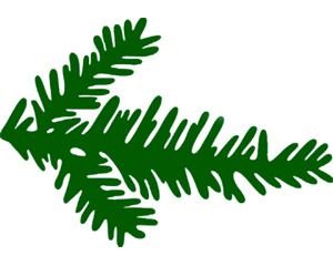 Ветки елки для вырезания