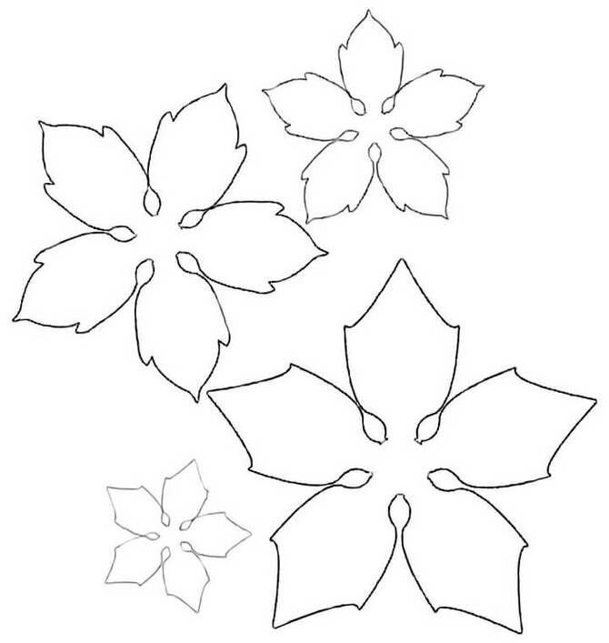 Трафарет цветка пуансетии