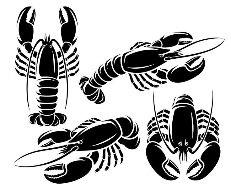 Рачки вектор