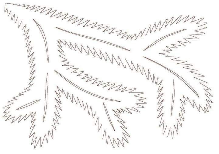 Еловая ветка трафарет