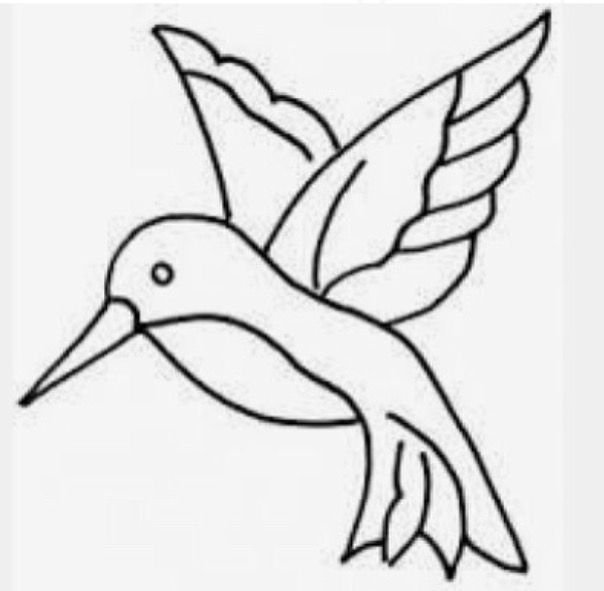 Колибри раскраска для детей