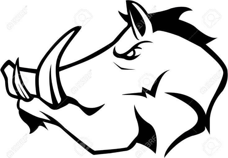 Кабан вектор