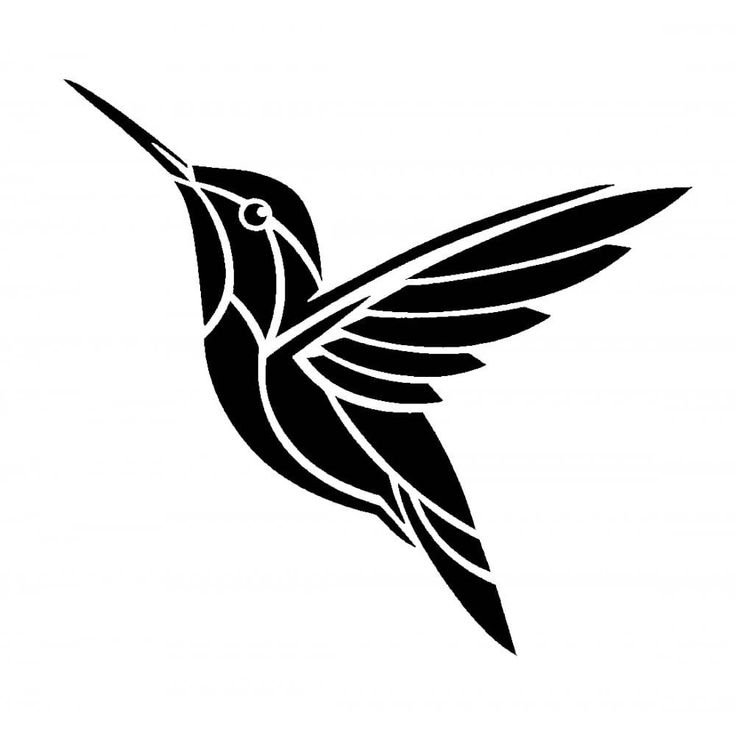 Колибри трафарет