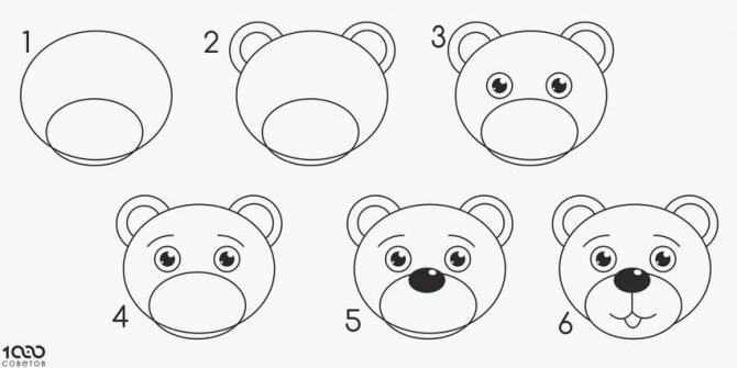 Поэтапное рисование медведя для дошкольников