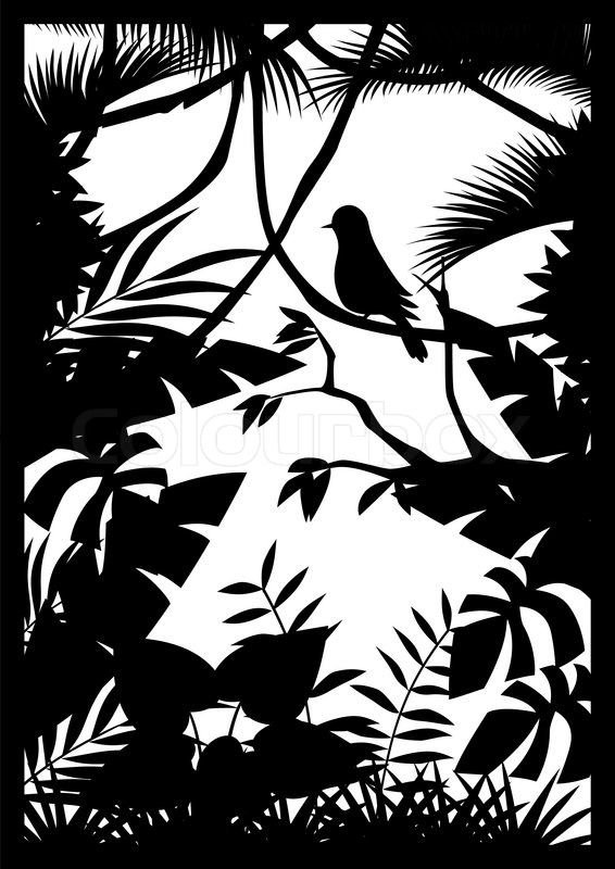 Джунгли силуэт