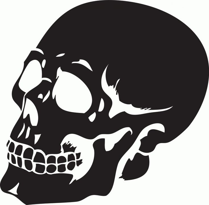 Череп силуэт