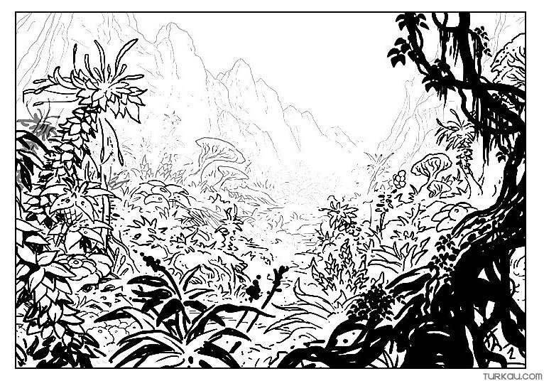 Джунгли в графике