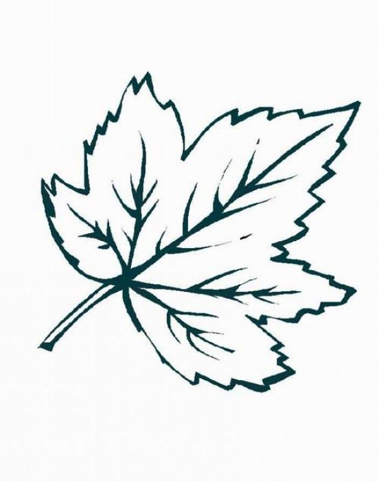 Трафареты "листья"
