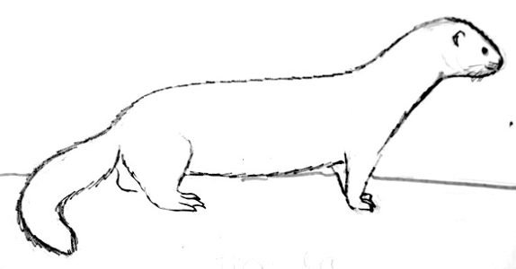 Нарисовать норку