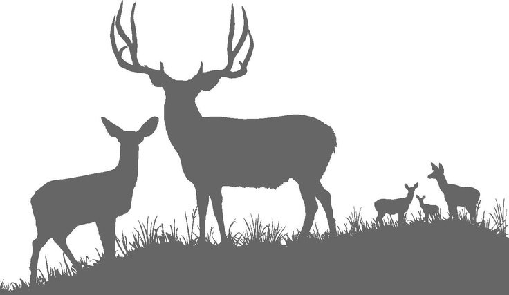 Силуэт оленя