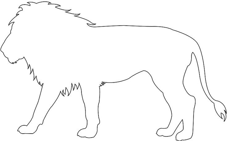 Контуры животных для детей