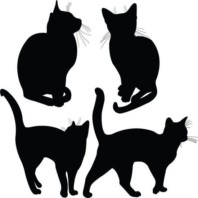 Трафареты кошек для декора стен