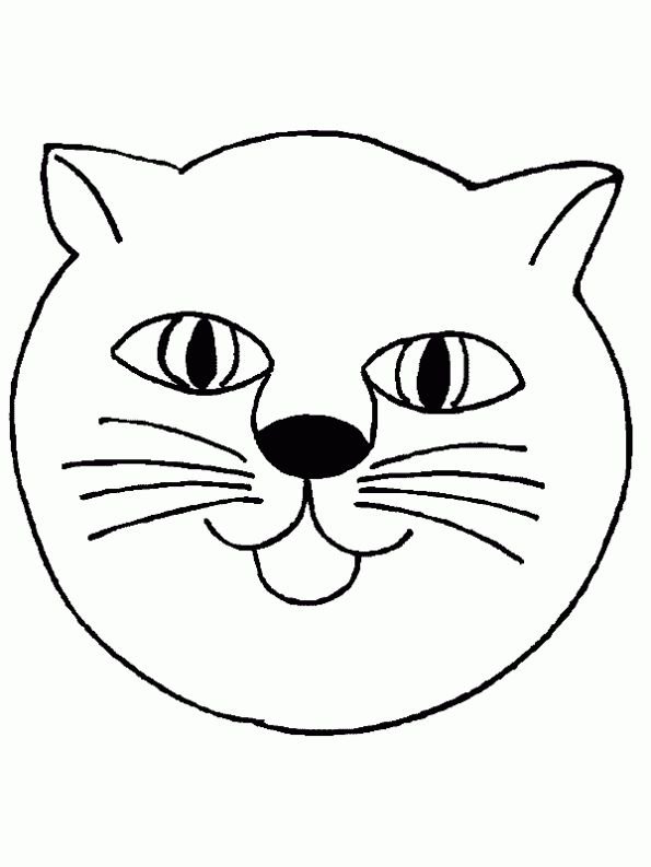 Контур мордочки кошки