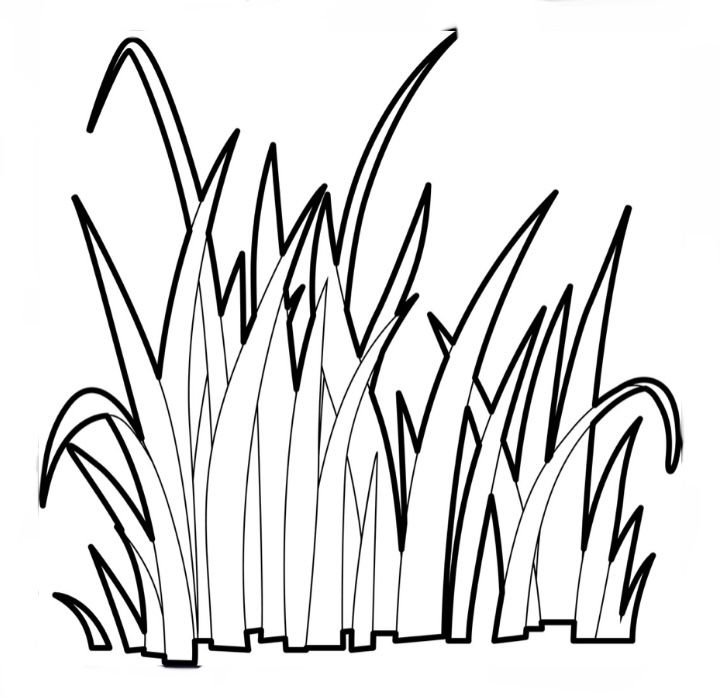 Трава рисунок