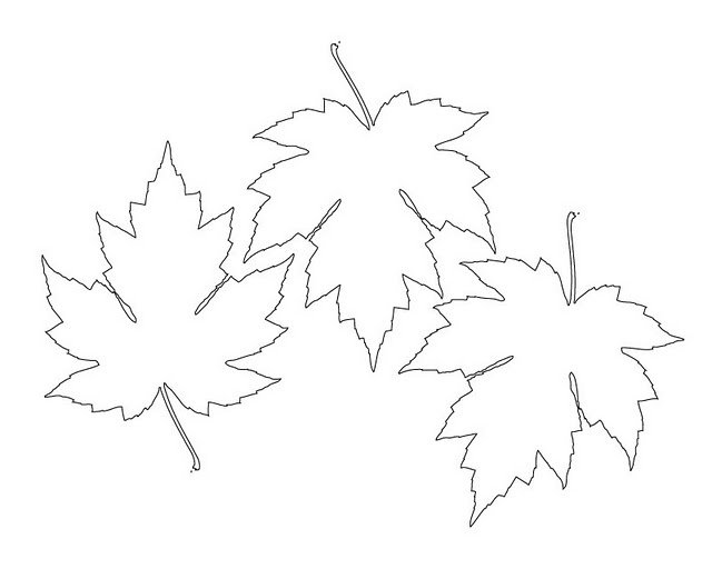 Кленовые листья шаблоны для вырезания