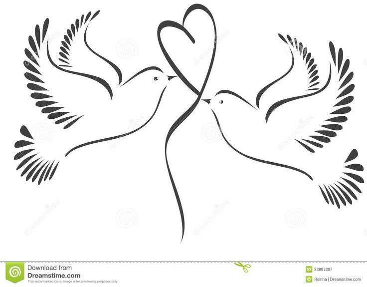 Свадебные голуби