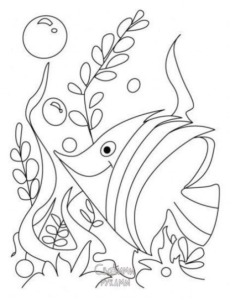 Раскраска рыбка