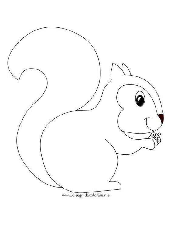 Белочка раскраска для малышей