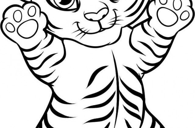 Тигр раскраска для детей