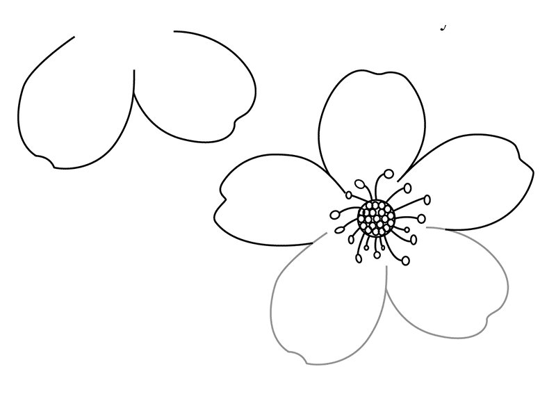Трафареты цветов