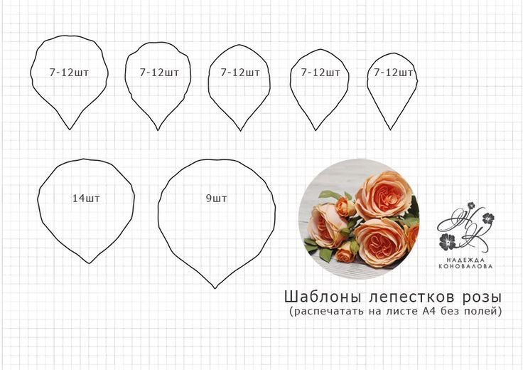 Розы из фоамирана шаблоны лепестков
