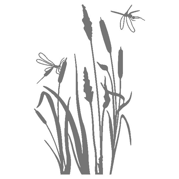 Трафарет полевые цветы