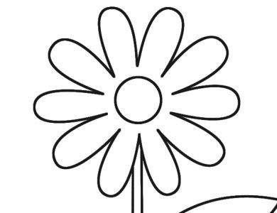 Раскраска цветок Ромашка