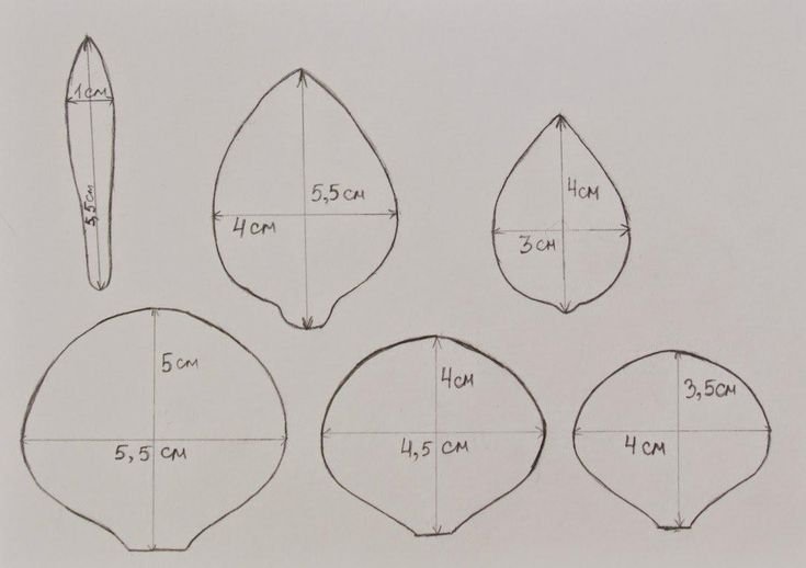 Шаблоны для изготовления розы из фоамирана