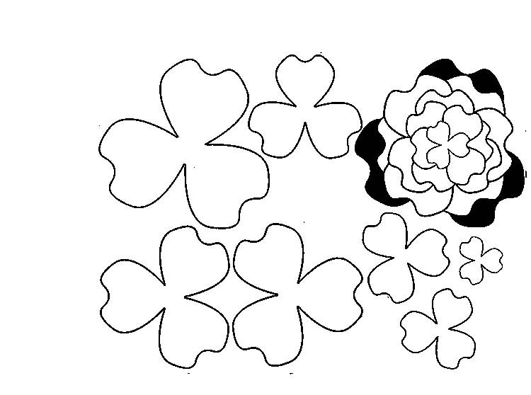 Цветы шаблон для аппликации